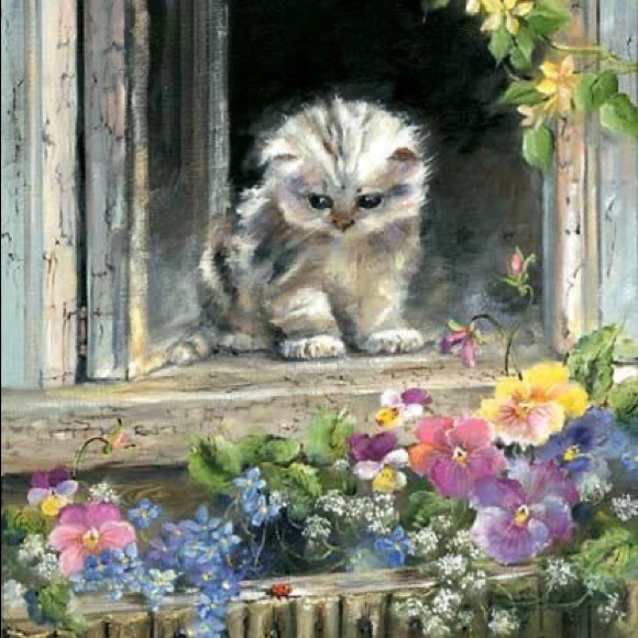 REORGANIZING - Picture 7 of 14